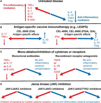 Current status of immunological therapies for rheumatoid arthritis with a focus on antigen-specific therapeutic vaccines